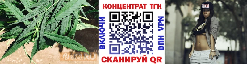 ТГК Wax Бабаево
