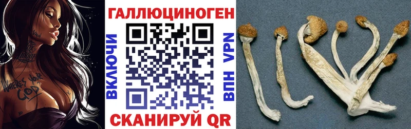 купить наркоту  Бабаево  Галлюциногенные грибы MAGIC MUSHROOMS 