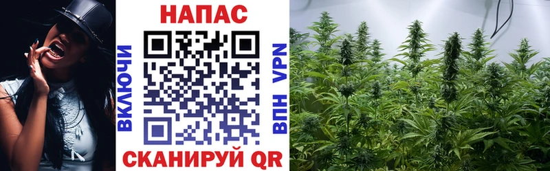 дарнет шоп  Бабаево  Бошки Шишки White Widow 